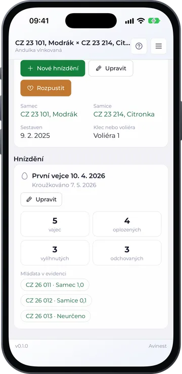 Detail páru a hnízdění v telefonu, světlý režim